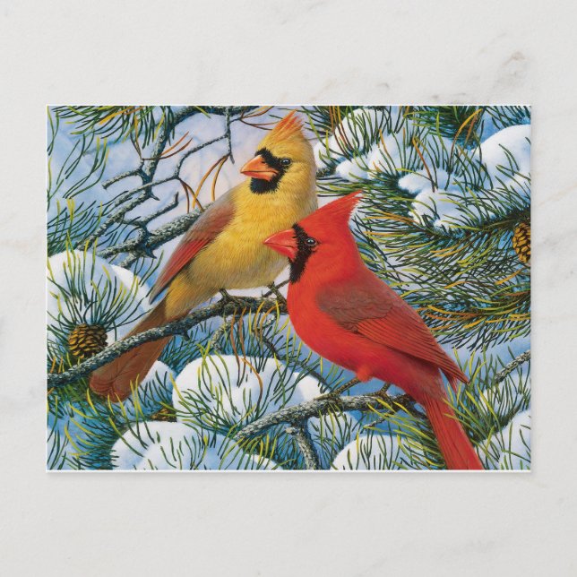 Chic Beautiful Christmas Red Cardinals And Snow Postcard (Front)