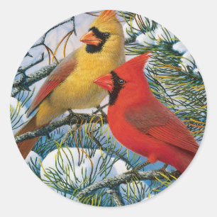 Chic Beautiful Red Cardinals And Snow Christmas Classic Round Sticker