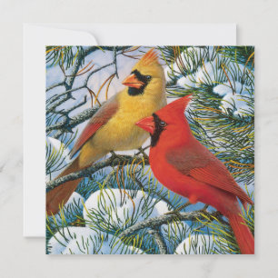 Chic Beautiful Red Cardinals And Snow Christmas Holiday Card