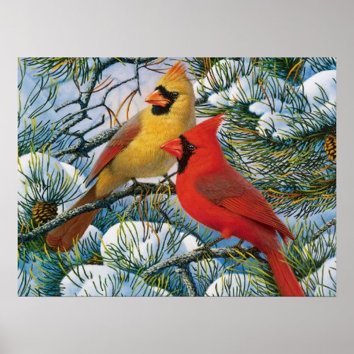 Chic Beautiful Red Cardinals And Snow Christmas Poster