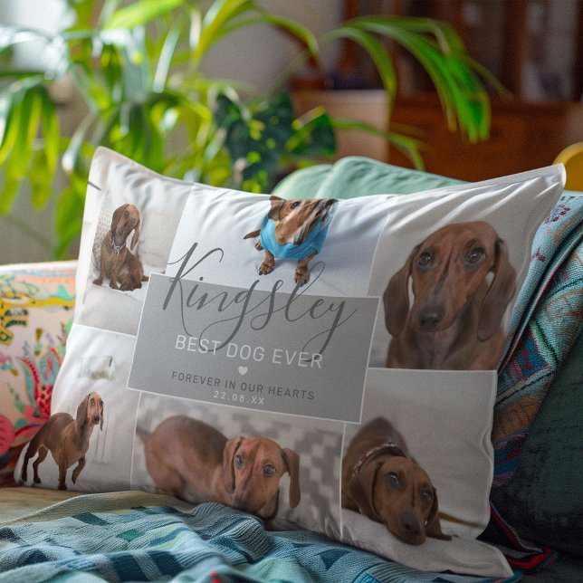Chic Best Dog Ever | Photo Collage Pet Loss Accent Pillow (Creator Uploaded)
