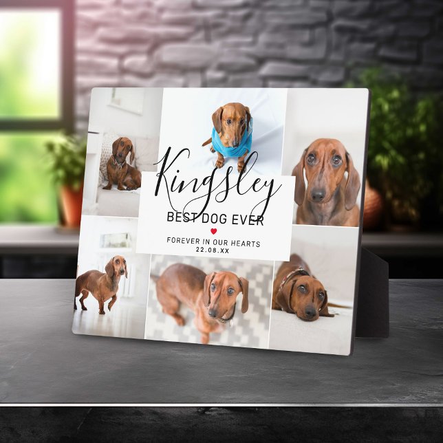 Chic Best Dog Ever | Photo Collage Pet Loss Plaque (Creator Uploaded)