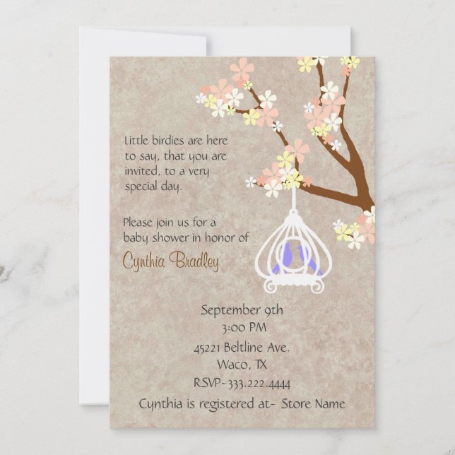 Chic Birdcage Baby Shower Invitation (Front)