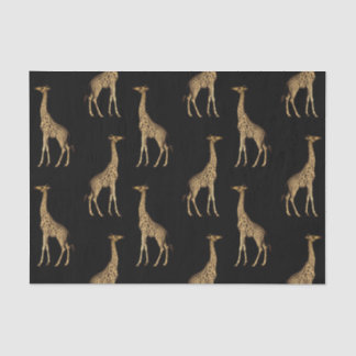Chic Black and Golden Giraffe Print Tissue Paper