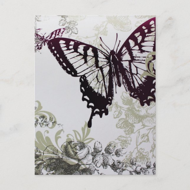 chic bright colorful summer butterfly postcard (Front)