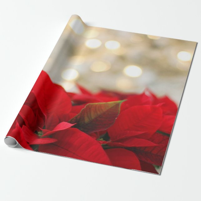 Chic Christmas Poinsettia Holiday Wrapping Paper (Unrolled)