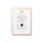 Chic & Formal Nursing Graduate | Gold Foil Invite