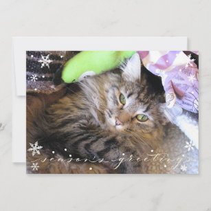 Chic Holiday Photo Flat Wide Card