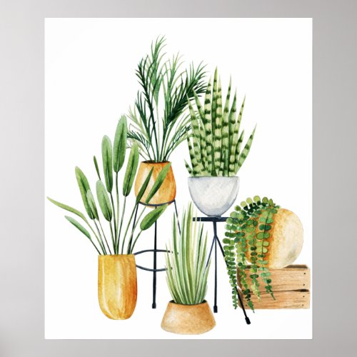 Chic home decor plants