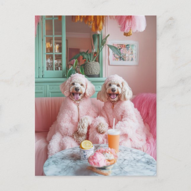 Chic Labradoodles in Pink Lounge Postcard (Front)