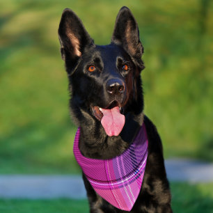 Chic Magenta Berry Plaid Aesthetic Pet Bandana Collar