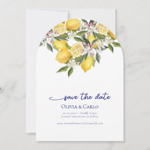 Chic Mediterranean Photo Wedding Save the Date Invitation