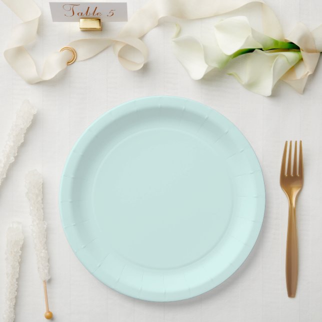 Chic Mint Bridal Shower Paper Plates (Wedding)