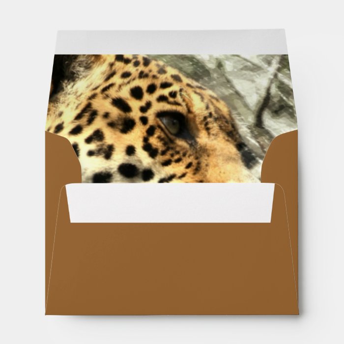 chic modern africa safari leopard envelope