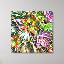 Chic Modern Colorful Succulent photo pattern