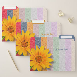 Chic & Modern Sunflower with Pastel Color Stripes File Folder