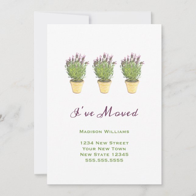 Chic  Moving Announcements | I've Moved Lavender (Front)