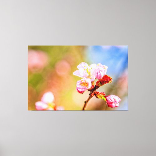 Chic Pink Sakura Flowers On A Sunny Day Of Spring Canvas Print