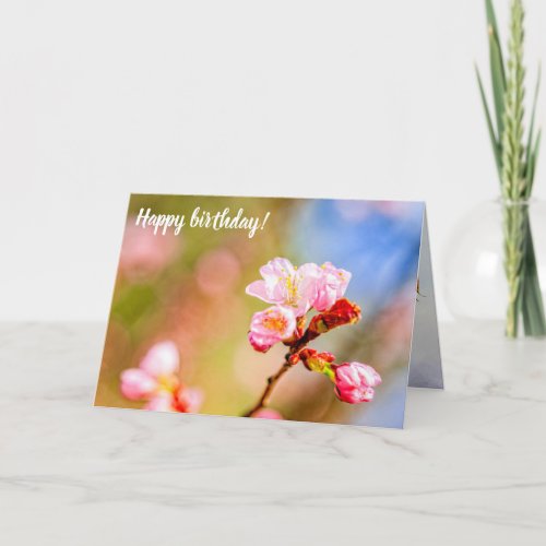 Chic Pink Sakura Flowers On A Sunny Day Of Spring Card