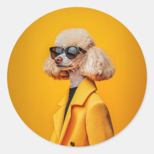 Chic Poodle in Sunglasses and Yellow Coat Classic Round Sticker