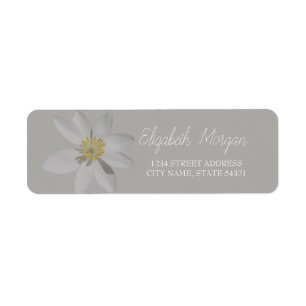 Chic Romantic White Daisy Address Label