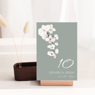 Chic Sage Green White Orchid Wedding Table Number