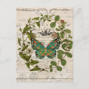 chic script french country botanical butterfly postcard