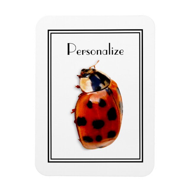 Chic Spotted Ladybug With Name Magnet (Vertical)