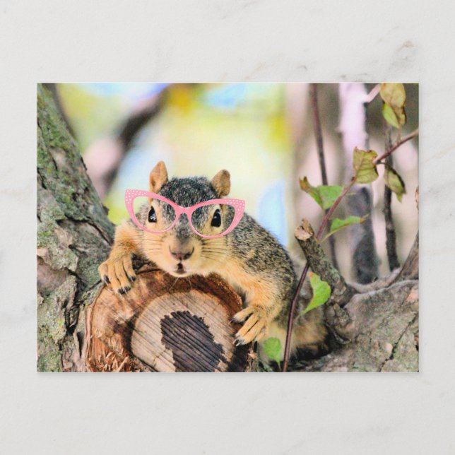 Chic squirrel postcard (Front)