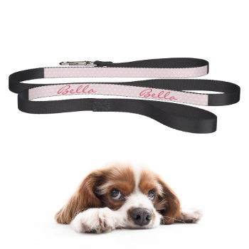 Chic Stylish Cute Pink Stars Dog Puppy Doggy Name Pet Leash by iCoolCreate at Zazzle