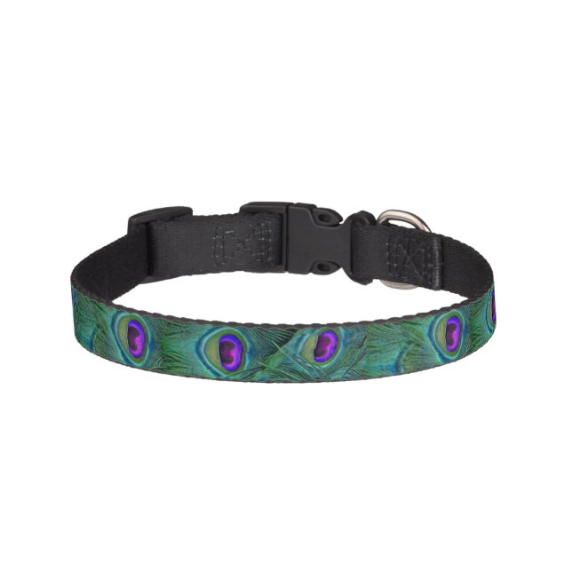 Chic Teal Purple Peacock Feathers Print Dog Collar (Front)