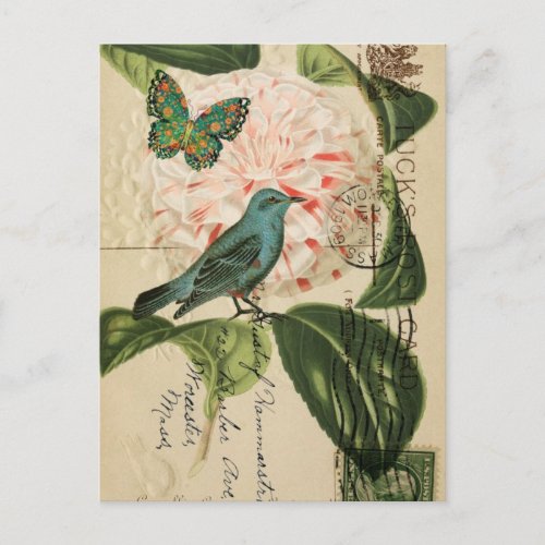 Chic Vintage Bird camellia french botanical art Postcard
