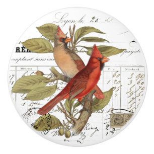 Chic Vintage Cardinal on Branch French Script Knob