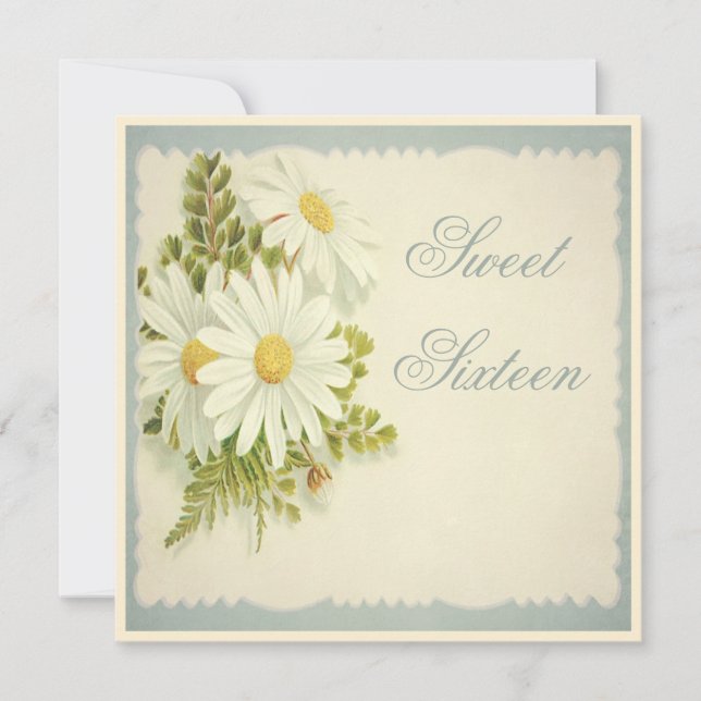 Chic Vintage Daisies Sweet 16 Invitation (Front)