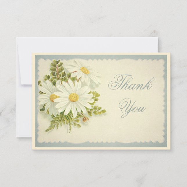 Chic Vintage Daisies Thank You Card (Front)