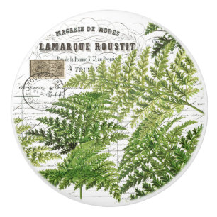 Chic Vintage Ferns & French Document Script Knob