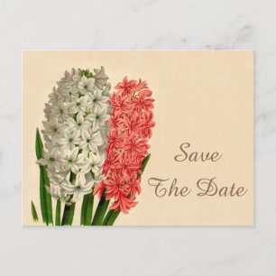 Chic Vintage Hyacinths 40th Birthday Save The Date Announcement Postcard