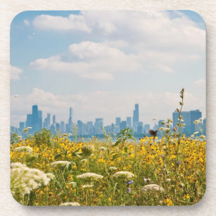 Chicago as seen from Montrose Harbor's bird Beverage Coaster