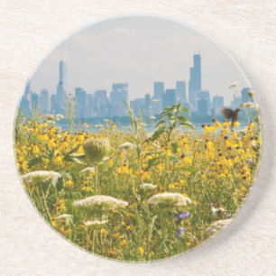Chicago as seen from Montrose Harbor's bird Coaster