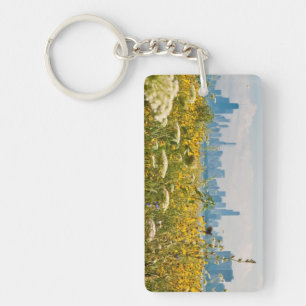 Chicago as seen from Montrose Harbor's bird Keychain