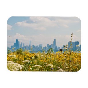 Chicago as seen from Montrose Harbor's bird Magnet