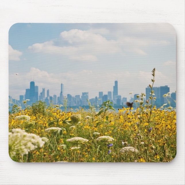Chicago as seen from Montrose Harbor's bird Mouse Pad (Front)