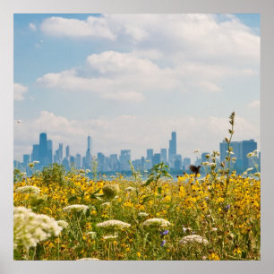 Chicago as seen from Montrose Harbor's bird Poster