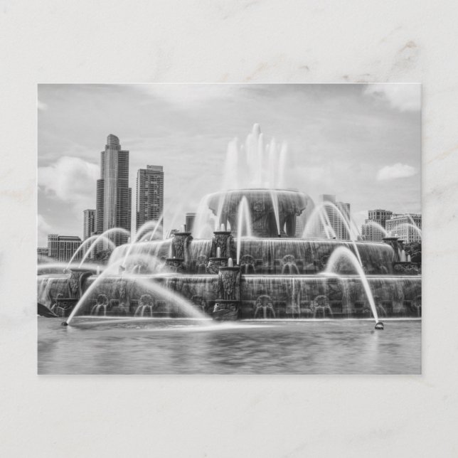 Chicago Buckingham Grayscale Postcard (Front)