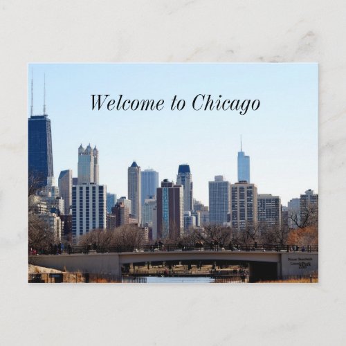 Chicago City Skyline Postcard