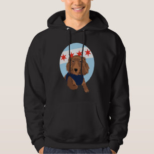 Chicago Flag Dachshund 1 Hoodie