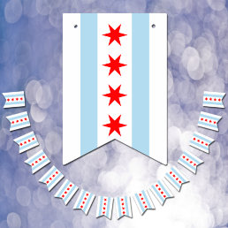 Chicago Flag Party, bunting Banners / Weddings