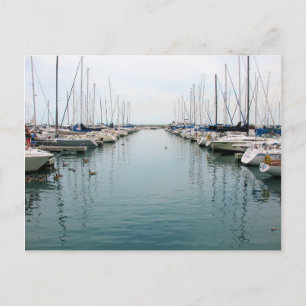 Chicago Harbor - Sailboat Postcard