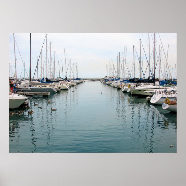 Chicago Harbor - Sailboats at Rest Poster (Front)