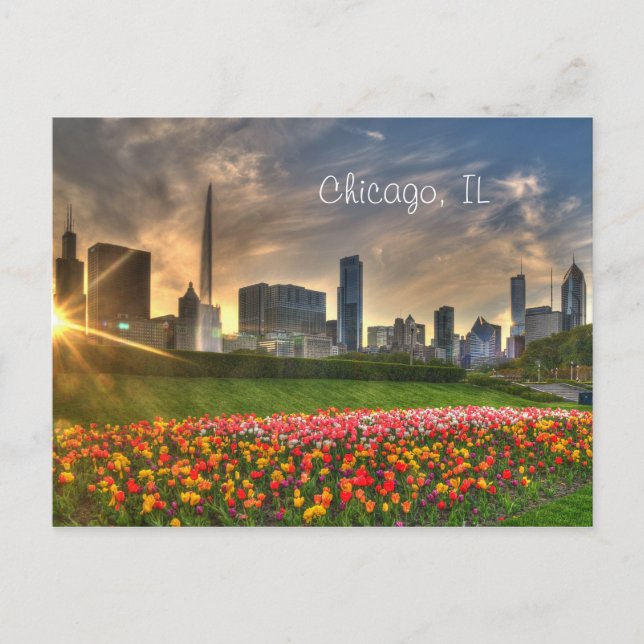 Chicago, IL Postcard (Front)